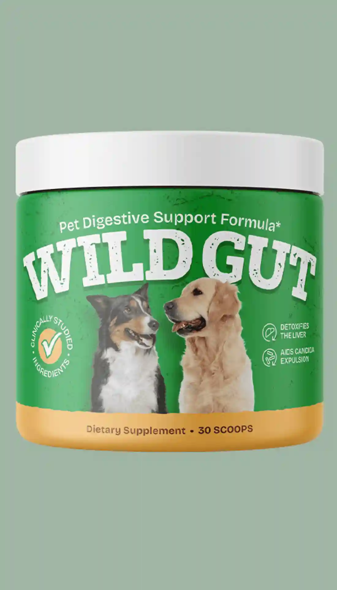 wildgut digestive health supplement
